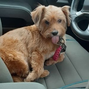 Meet your Posher, Deborah